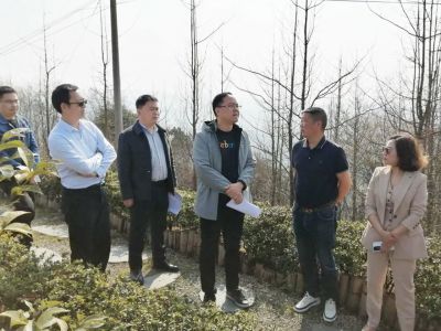28圈乡村发展集团与都江堰市政府召开项目推进交流会